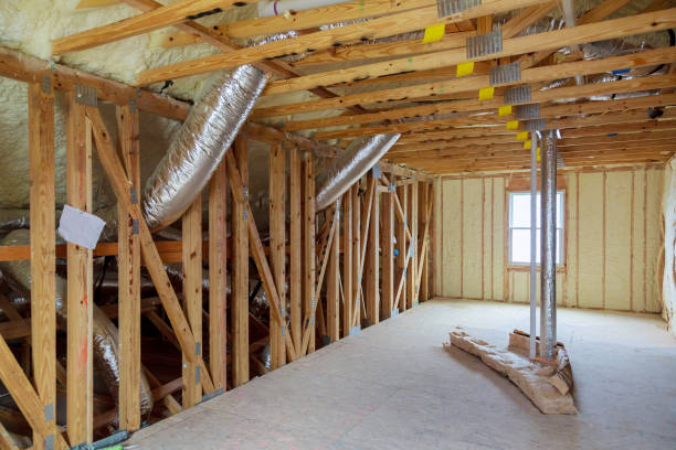Best Insulation Replacement Services  in Ignacio, CO
