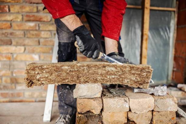 Best Insulation for New Construction  in Ignacio, CO