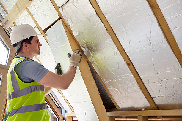 Best Insulation Removal  in Ignacio, CO